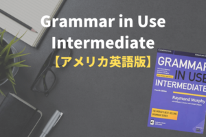 【アメリカ英語版】Grammar in Use Intermediateの解説【中級者向け？】